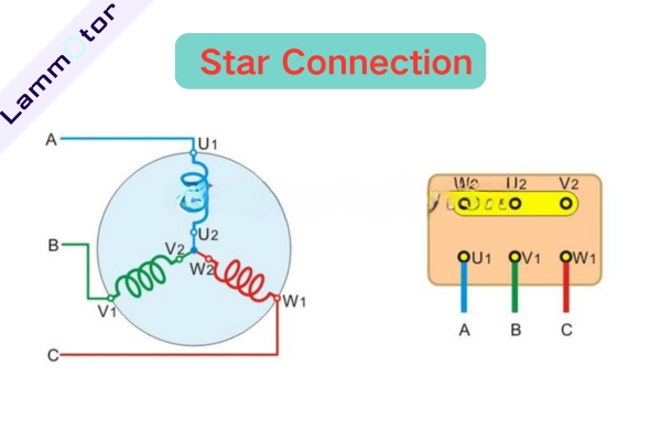 Star Connection