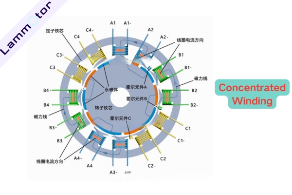 Stator Concentrated Winding
