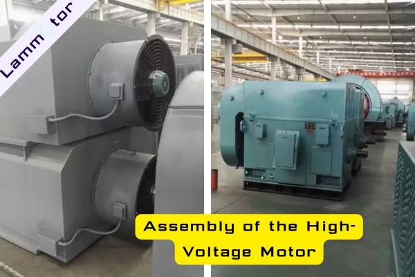 Assembly of the High-Voltage Motor