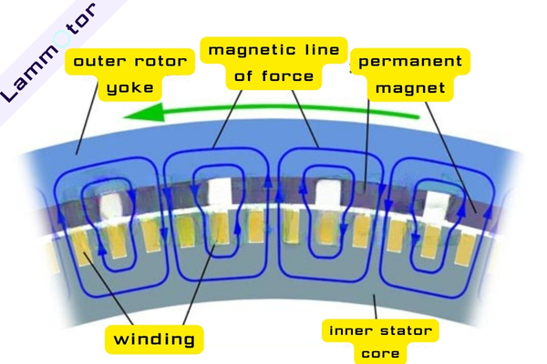 The magnetic circuit of the outer rotor generator