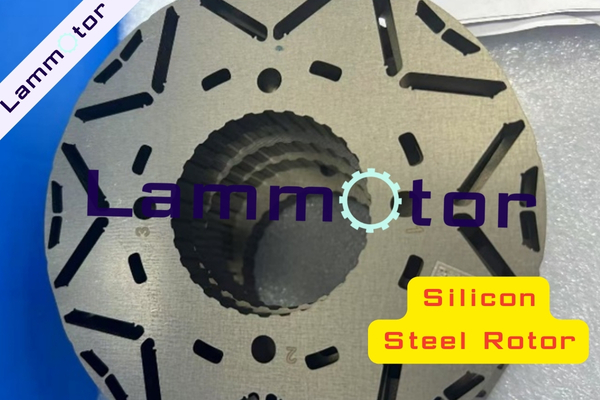 Silicon Steel Rotor