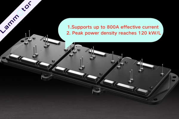 Self-Developed Silicon Carbide Power Module